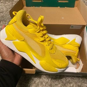 Yellow pumas